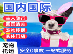 遵义新舟机场快运国际宠物托运 【国